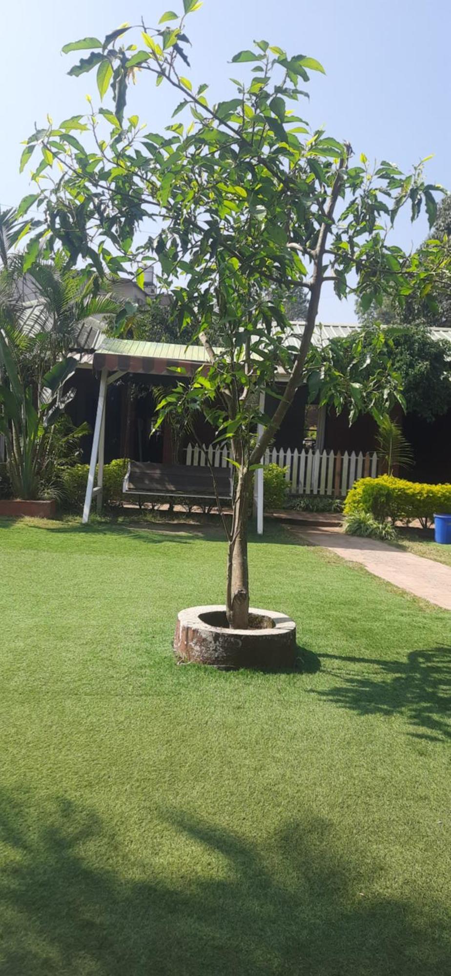 Hotel Oakwood Mahābaleshwar Exterior foto
